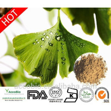 Polvo orgánico certificado del extracto de la hoja de Ginkgo Biloba del 100%